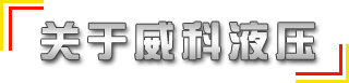 供應(yīng)國標(biāo)、非標(biāo)315噸液壓機(jī)